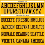 Custom Gold Purple-Black Mesh Authentic Football Jersey