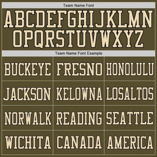 Custom Olive Camo-Black Mesh Authentic Salute To Service Football Jersey