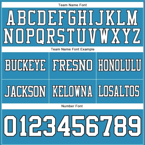 Custom Panther Blue White-Black Mesh Authentic Football Jersey Custom Panther Blue White-Black Mesh Authentic Football Jersey