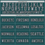 Custom Midnight Green Gray-Black Mesh Authentic Throwback Football Jersey